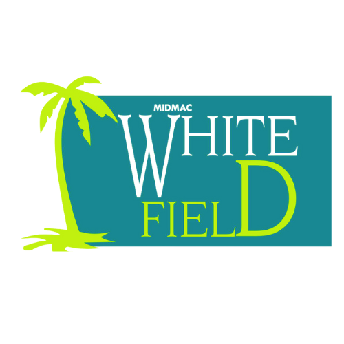 𝗪𝗵𝗶𝘁𝗲𝗳𝗶𝗲𝗹𝗱, Gabbur, Hubli