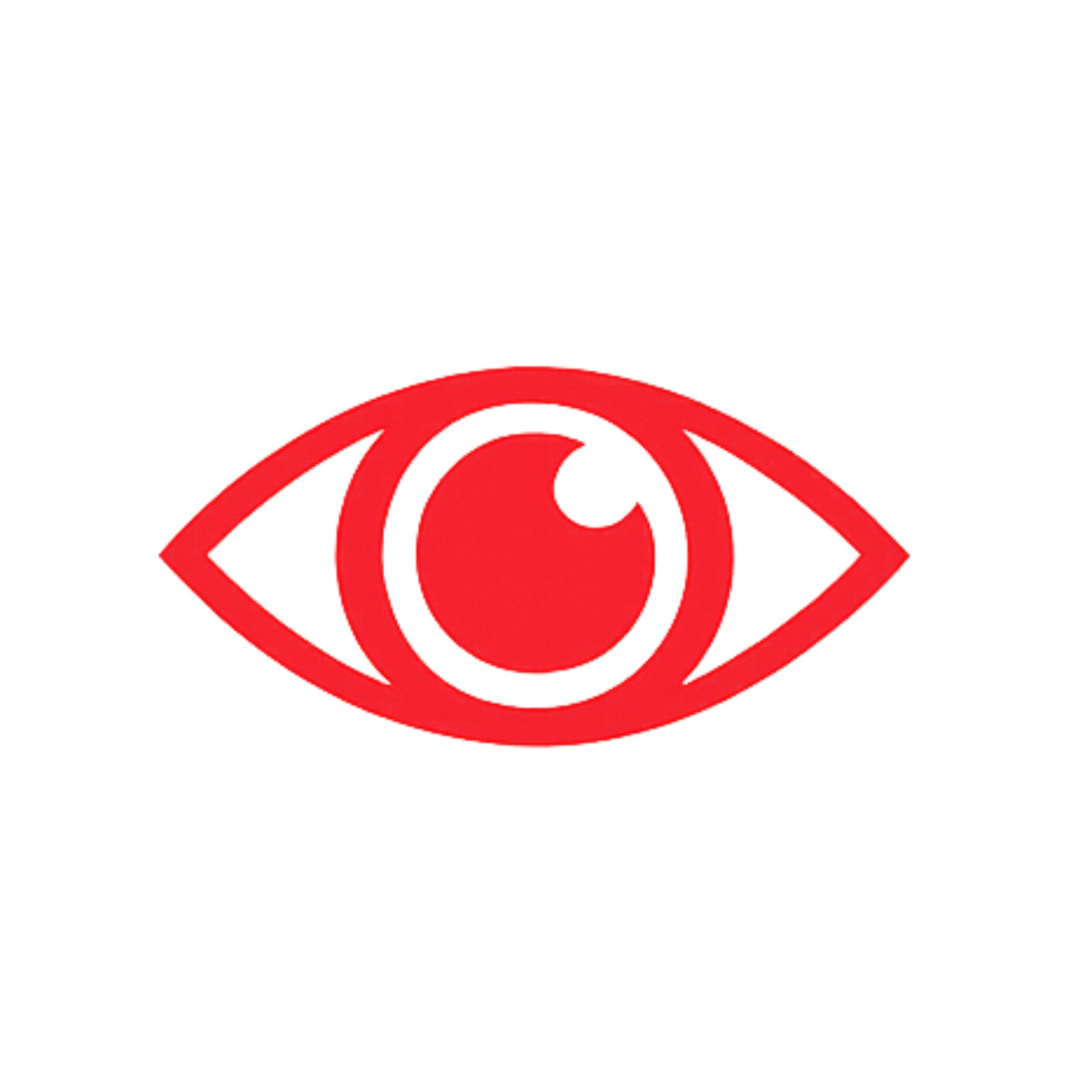 Vision