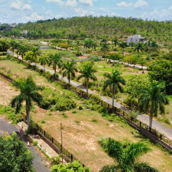 Palm Meadows DJI_0232