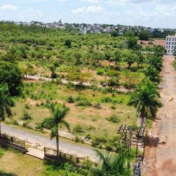 Palm Meadows DJI_0233